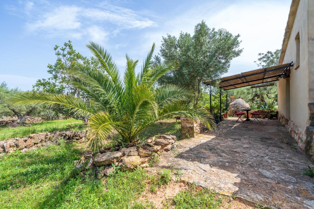 Casa en olivera a 3 km de la costa El Perelló Exterior foto